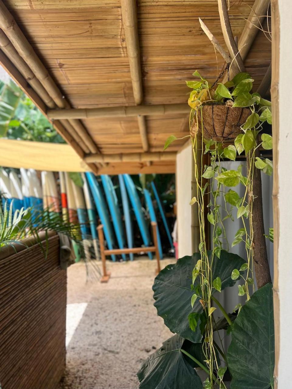 Хостел Dream Surf House Santa Teresa Playa Hermosa Cobano Экстерьер фото