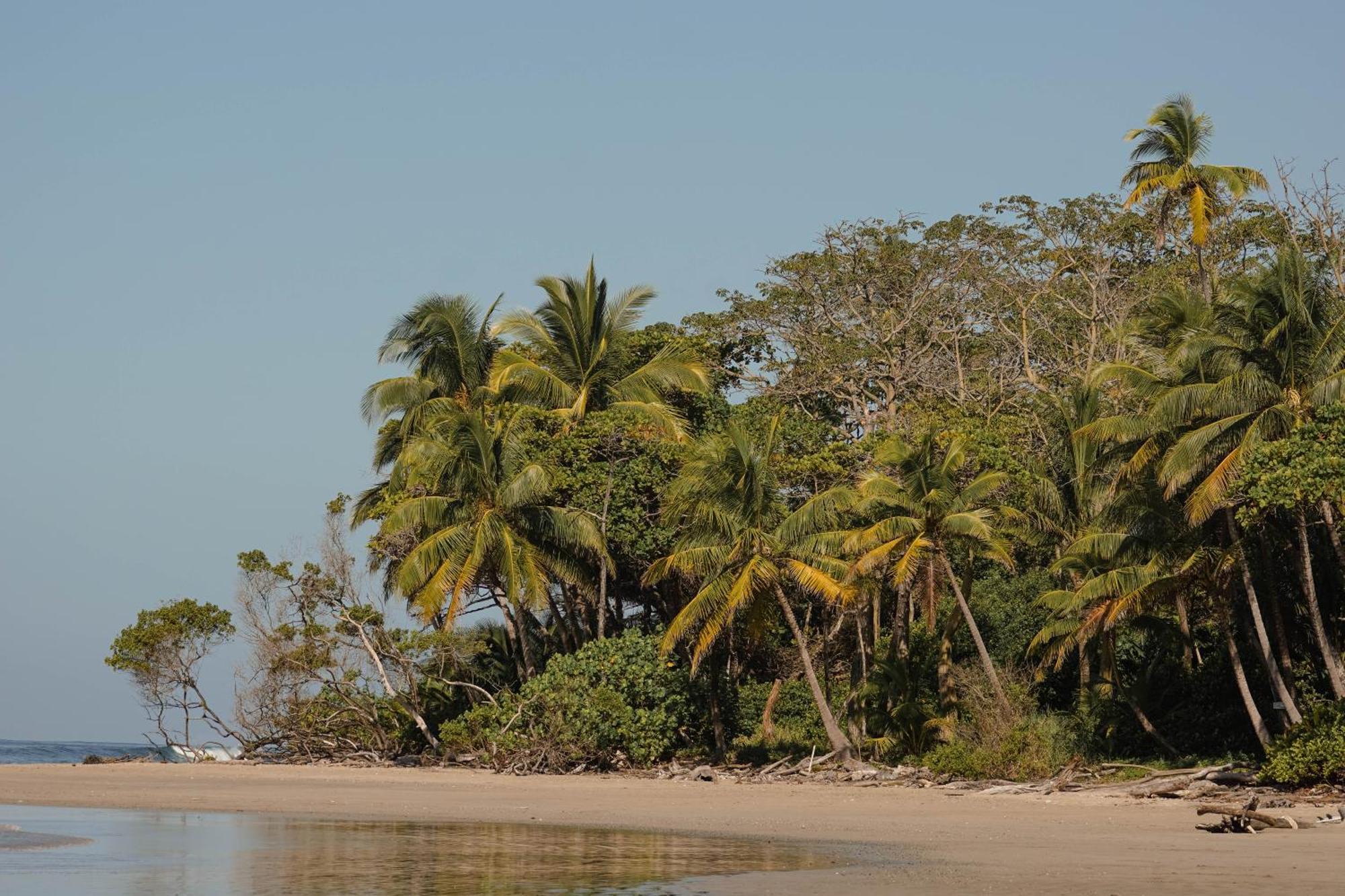 Хостел Dream Surf House Santa Teresa Playa Hermosa Cobano Экстерьер фото