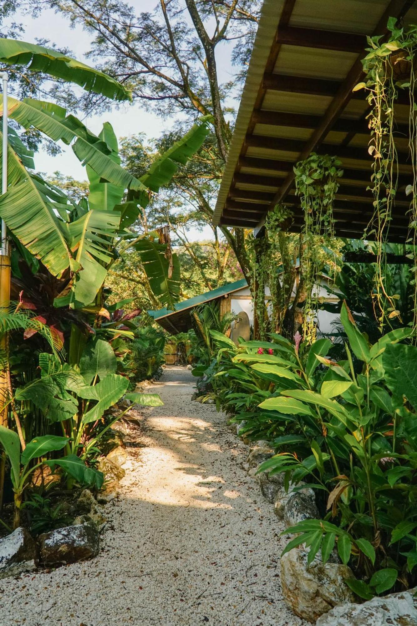 Хостел Dream Surf House Santa Teresa Playa Hermosa Cobano Экстерьер фото